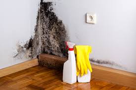 Professional Mold Inspection in Malvern, PA